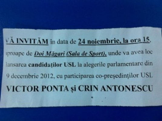 Udrea îi ia la mişto pe Ponta şi Antonescu, pe Facebook